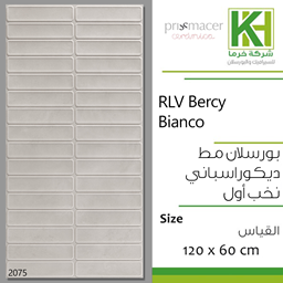 عرض تفاصيل بلاط بورسلان 60×120سم مط ديكور اسباني بيرسي بيانكو ديكوري
 صورة بلاط بورسلان 60×120سم مط ديكور اسباني بيرسي بيانكو ديكوري