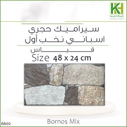 عرض تفاصيل بلاط جدران حجري 24×48 سم كلاسيك اسباني بورنوس مكس
 صورة بلاط جدران حجري 24×48 سم كلاسيك اسباني بورنوس مكس