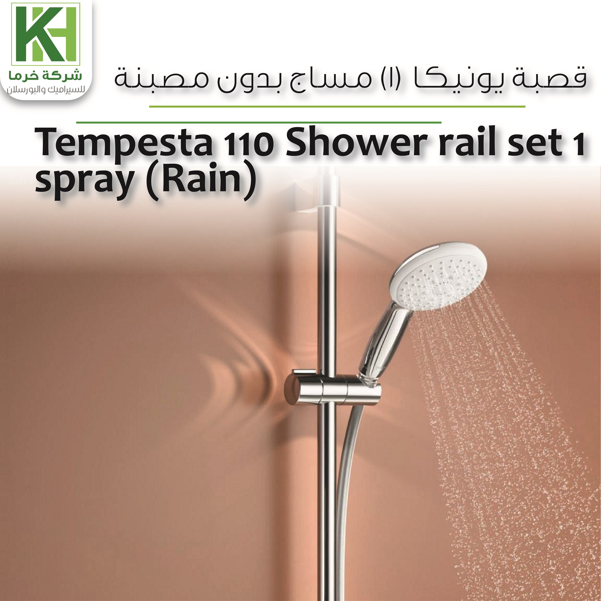 Picture of Grohe Tempesta 110 Shower rail set 1 spray (Rain)
