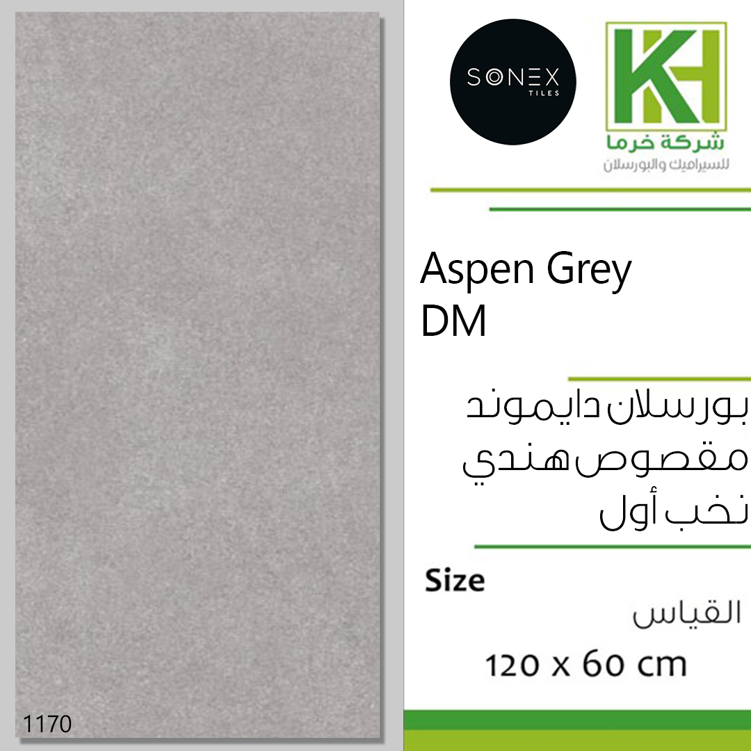 Picture of Indian porcelain diamond matt tile 60x120cm Aspen Grey