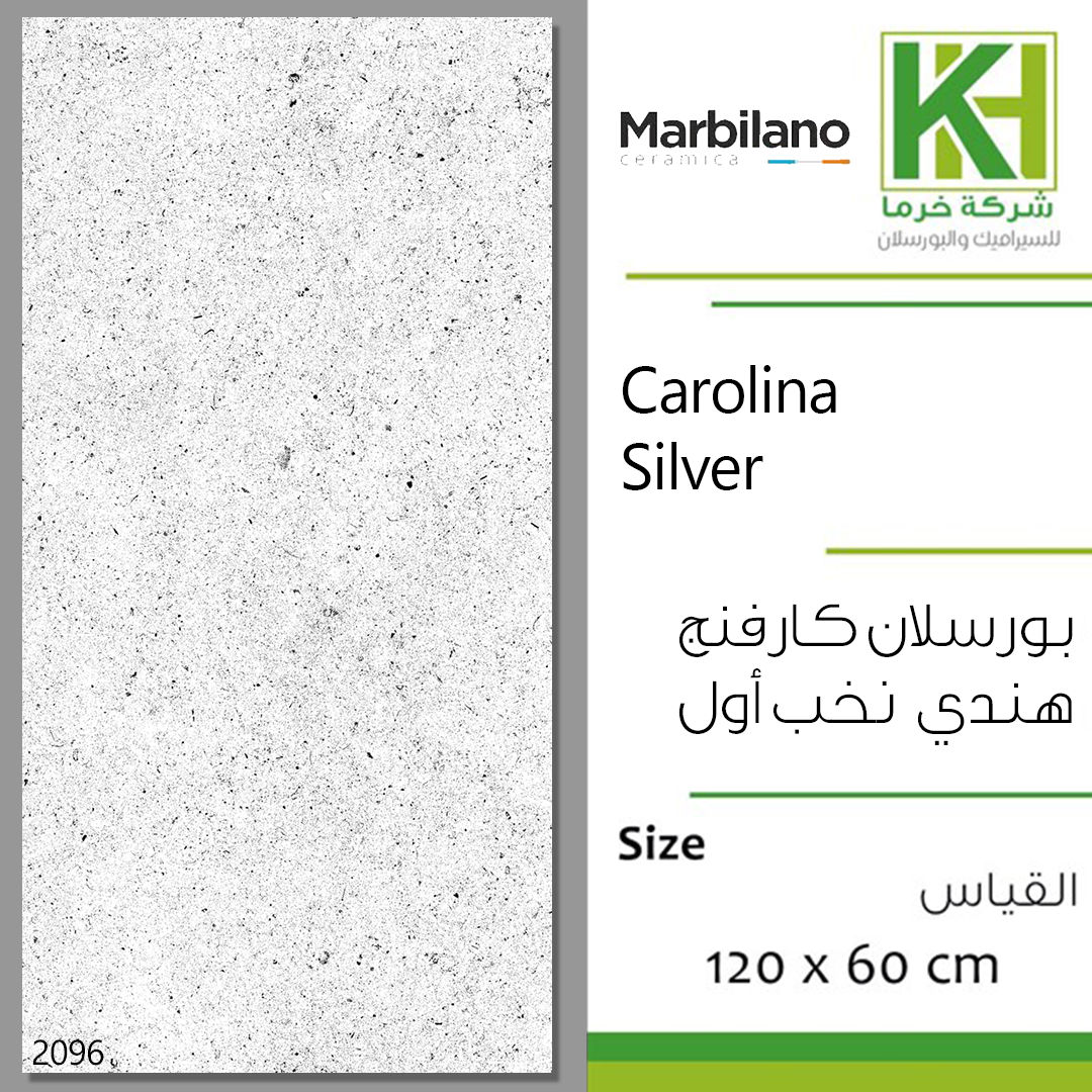 Picture of Indian porcelain matt carving tile 60x120cm Carolina Silver