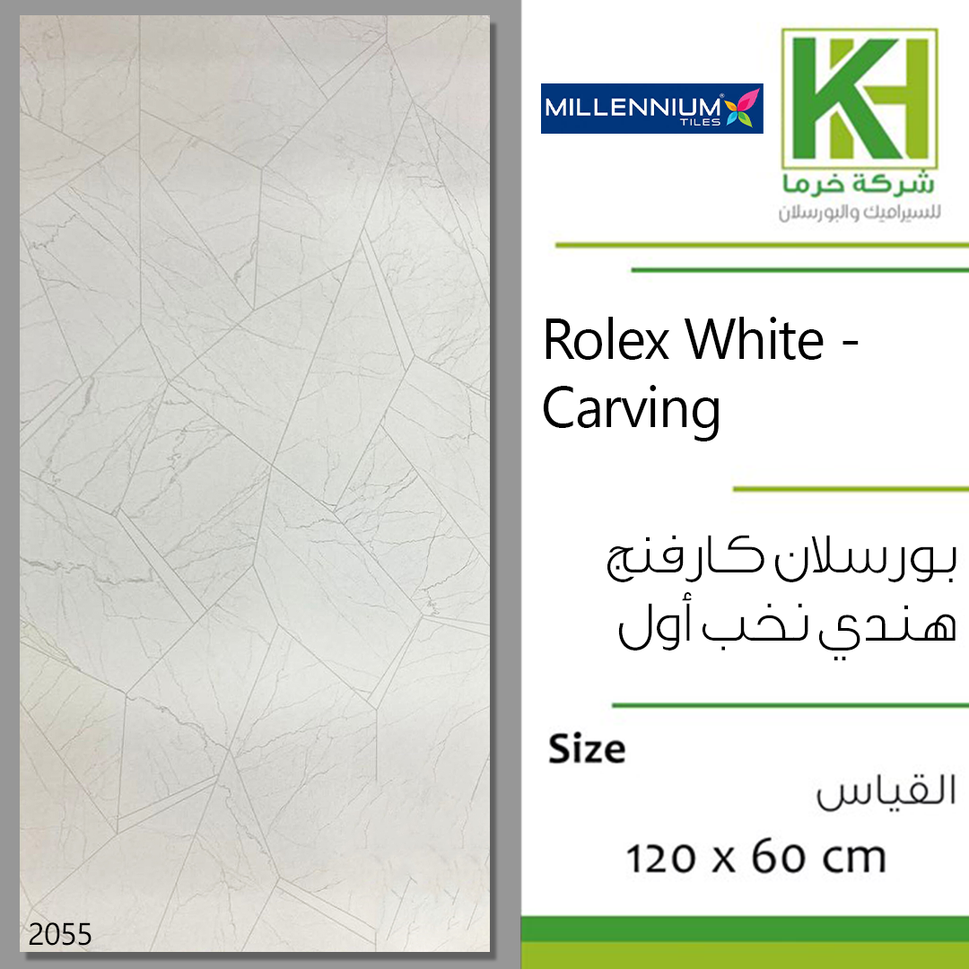 Picture of Indian Carving Porcelain tile 60x120cm Rolex White