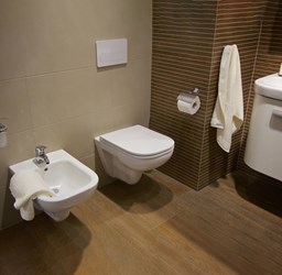 Picture for category Deep wall mounted bathrooms