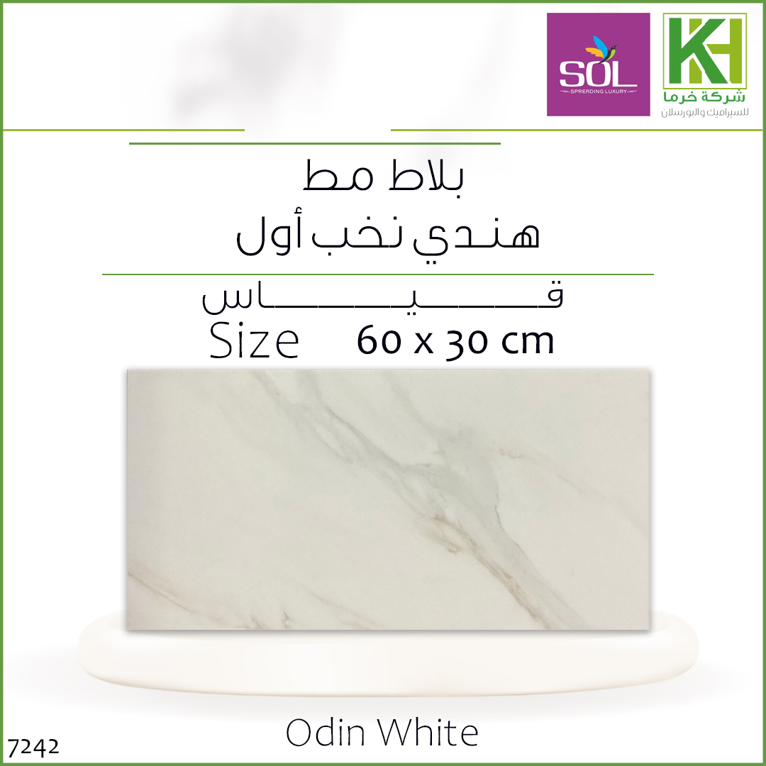 Picture of Indian matte wall tiles 60x30cm Odin White