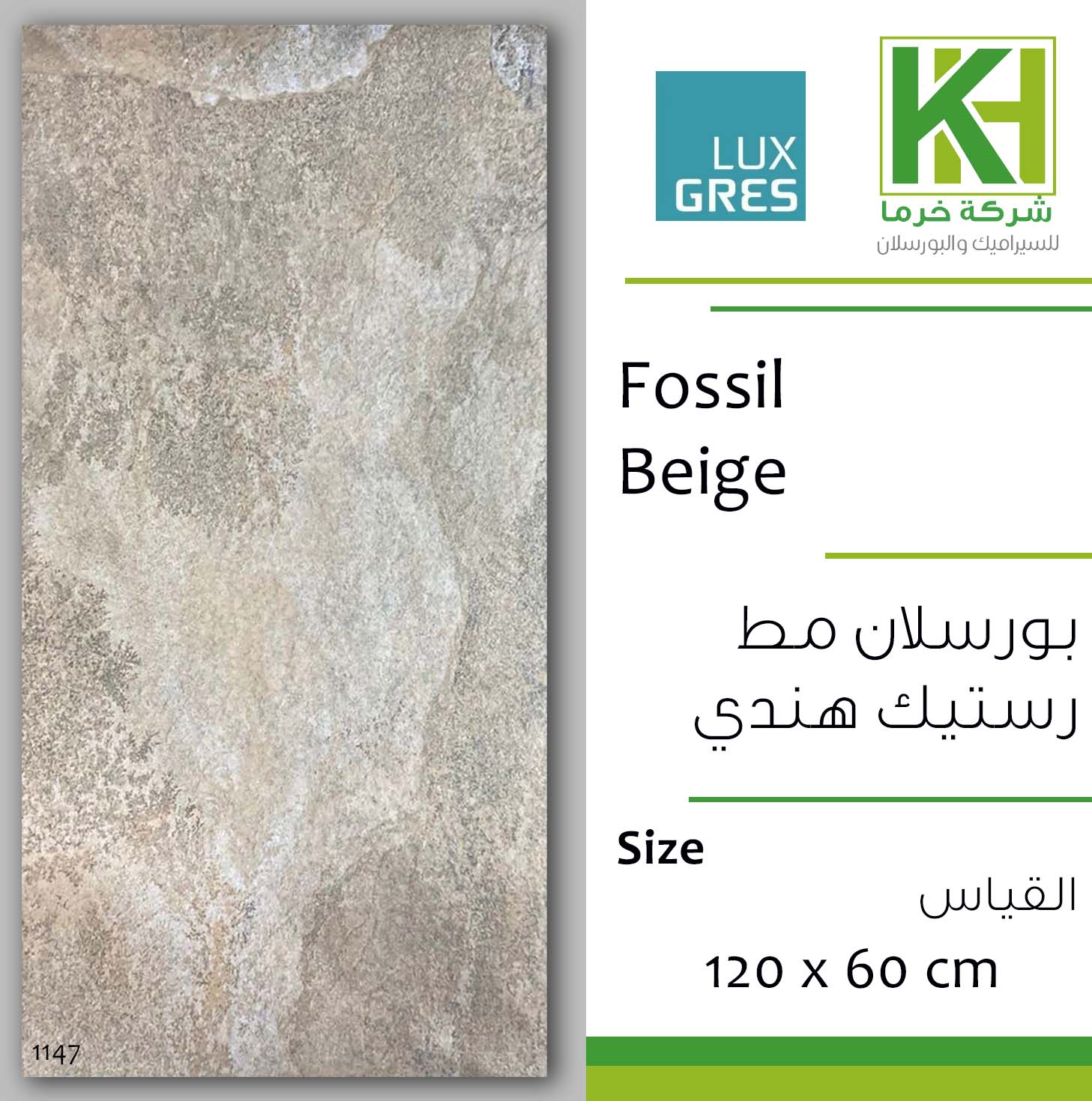 Picture of Indian porcelain matt Rustic tile 60x120cm Fossil Beige