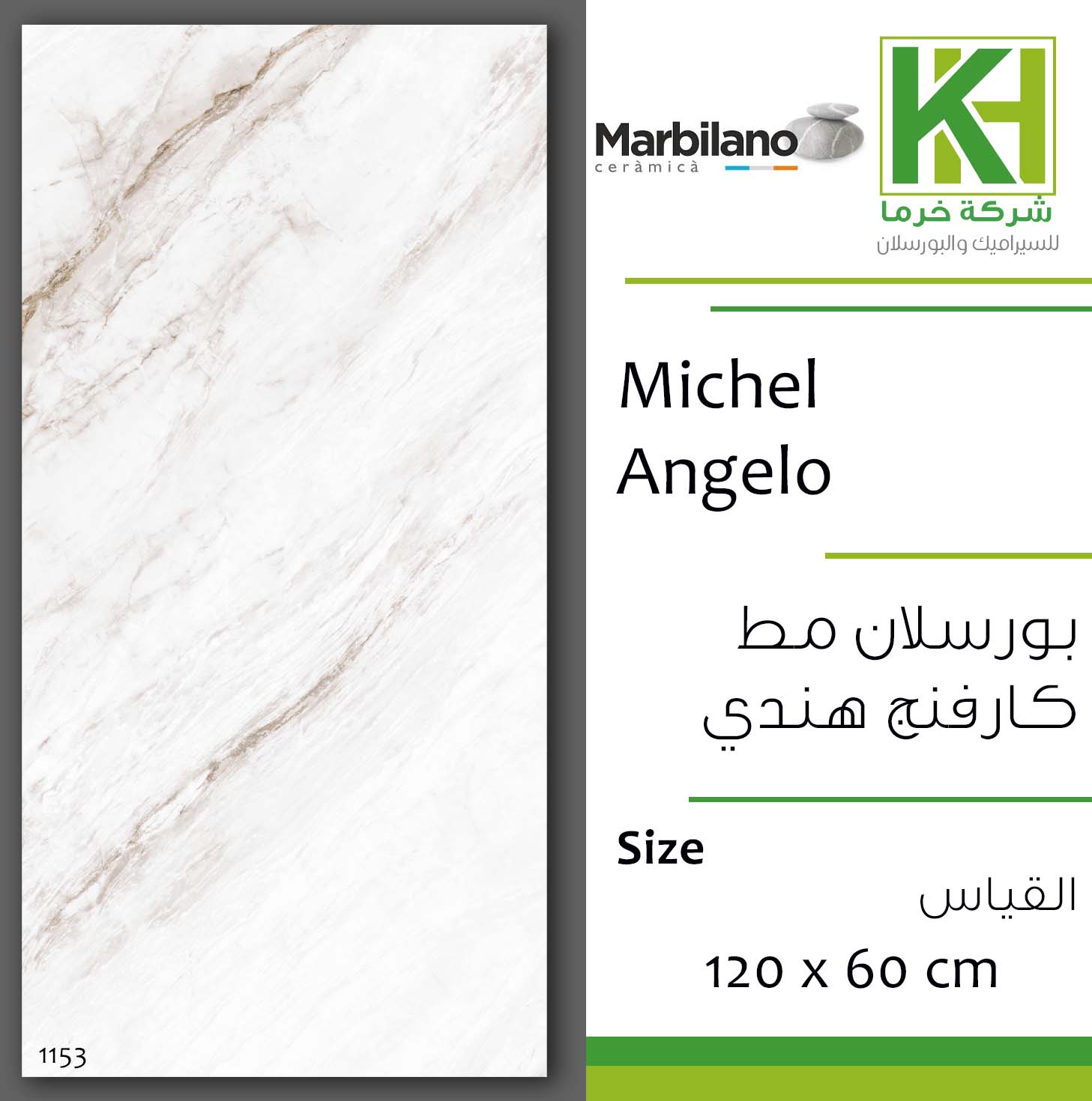 Picture of Indian matt carving porcelain tile 60x120 cm Michel Angelo