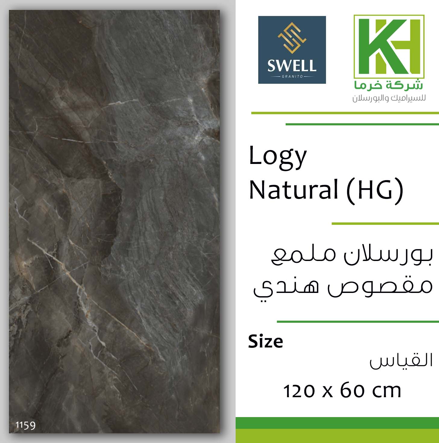 Picture of Indian porcelain glossy tile 60x120cm Logy Natural (HG)