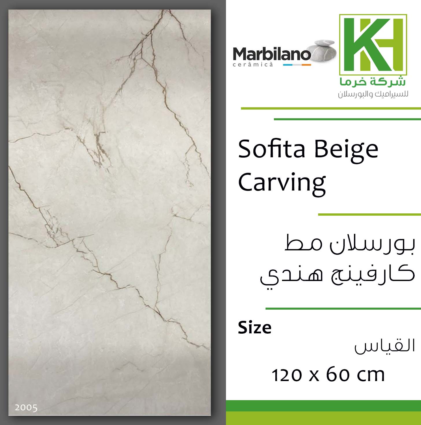 Picture of Indian matt porcelain tile 60x120 cm Sofita Beige