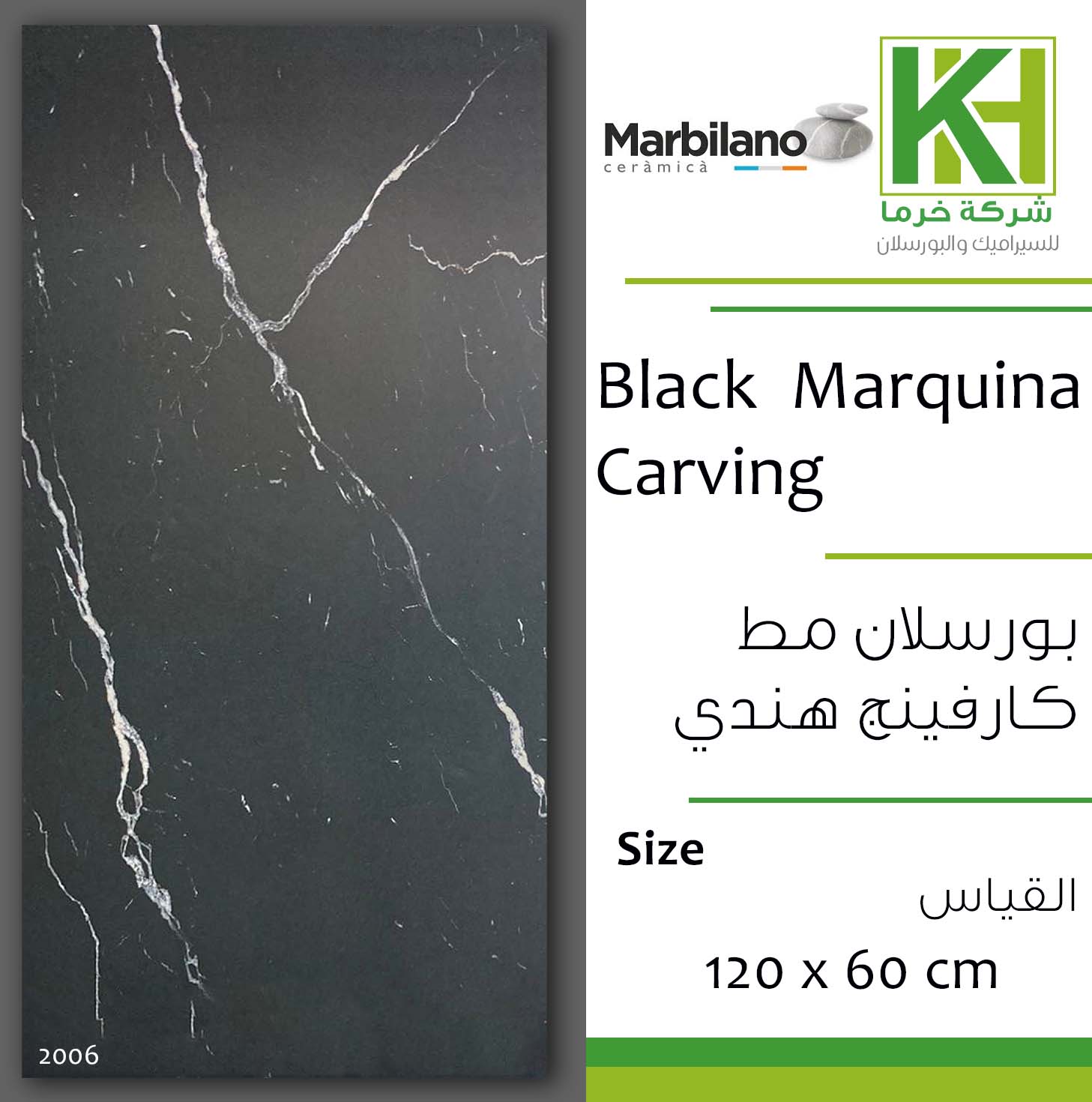 Picture of Indian Carving Porcelain tile 60x120cm Black marquina