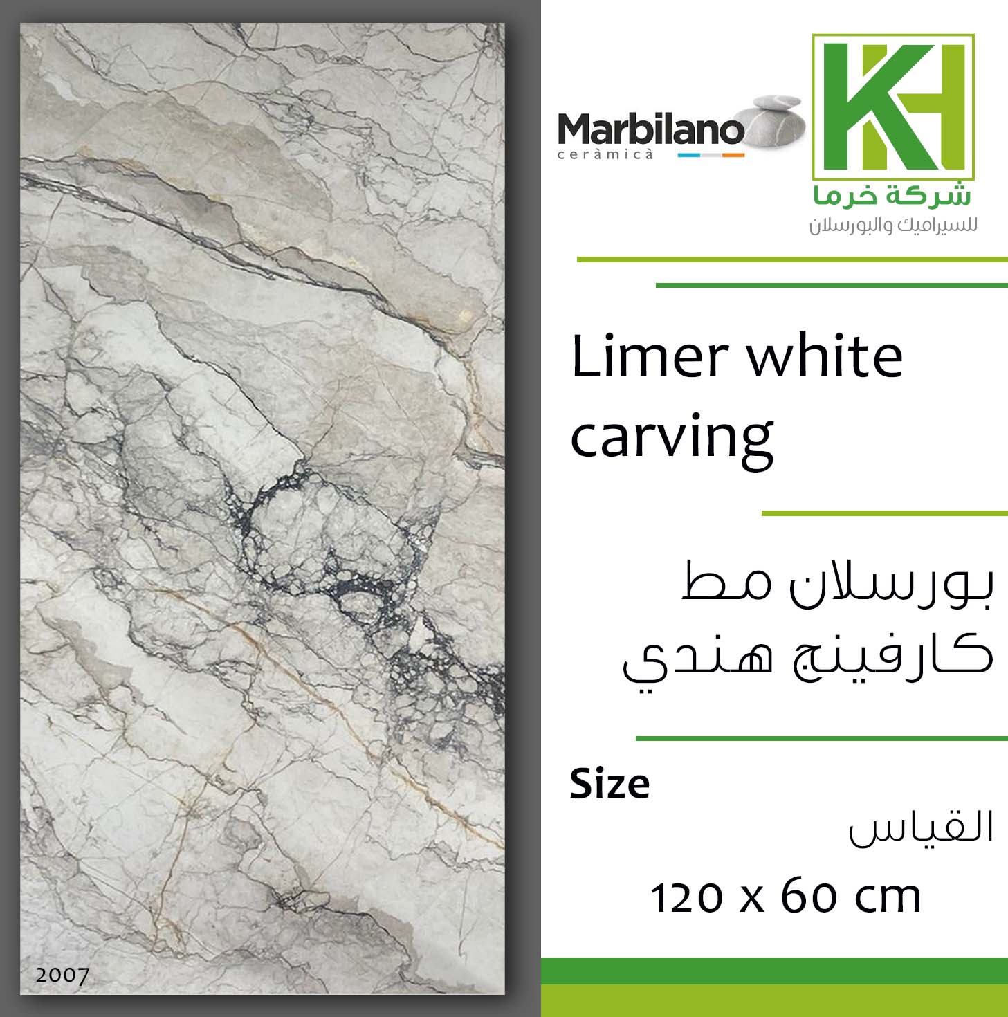 Picture of Indian Carving Porcelain tile 60x120cm Limer White