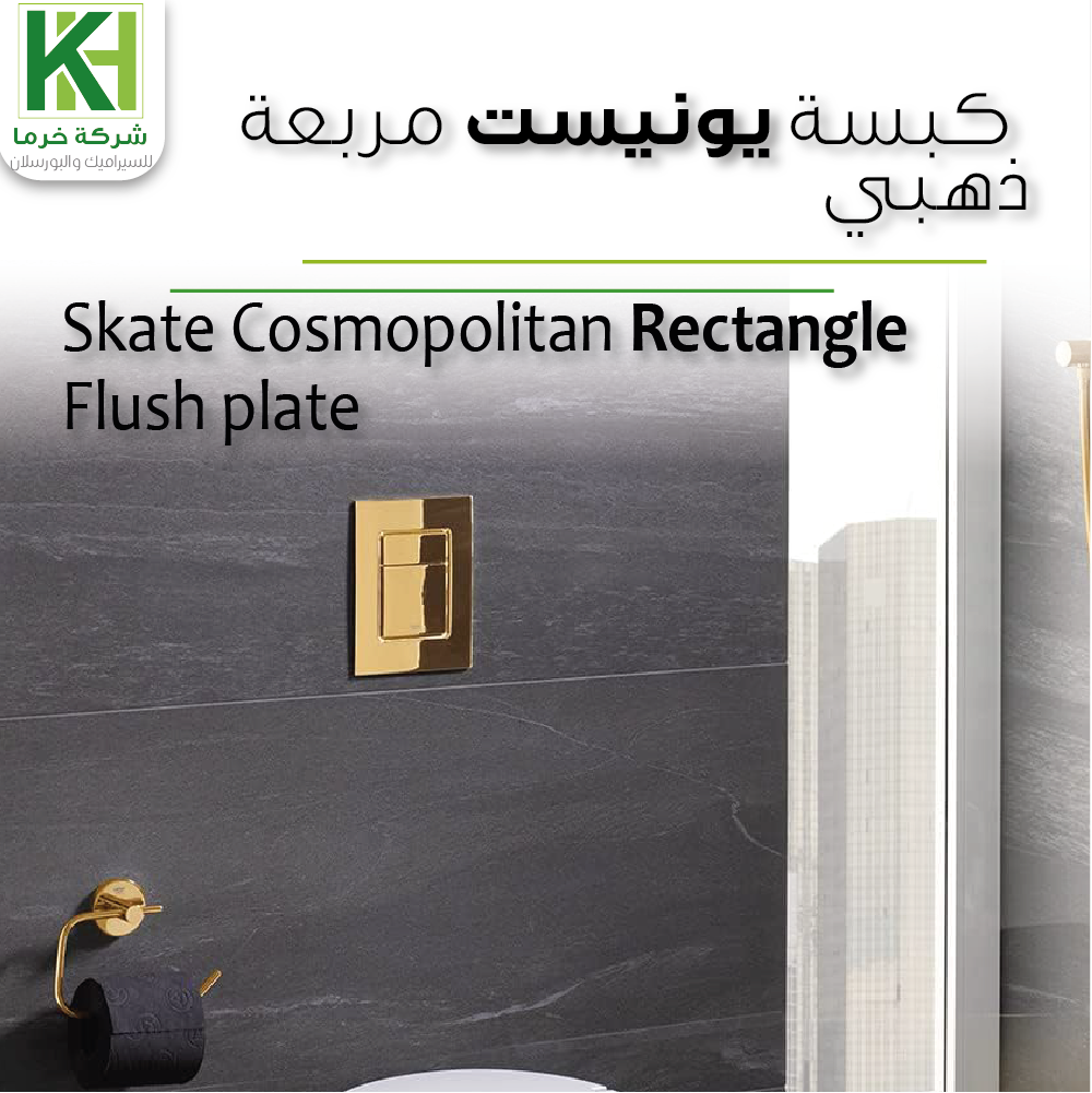 Picture of Grohe Skate Cosmopolitan Rectangle Flush plate